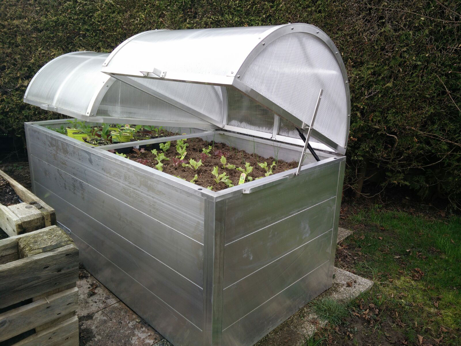 Hochbeet oder Frühbeet