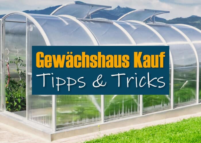 Gewächshaus Kauf