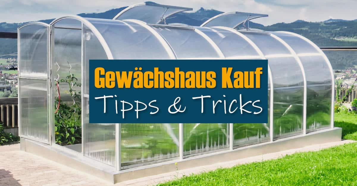 Gewächshaus Kauf